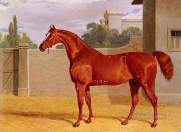 Comus Herring Snr John Frederick caballo Pinturas al óleo